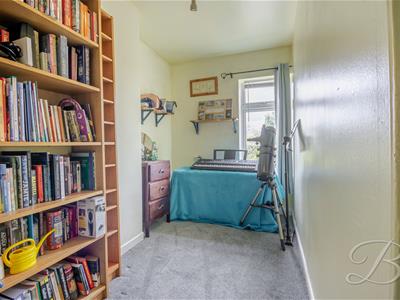 Picture 17